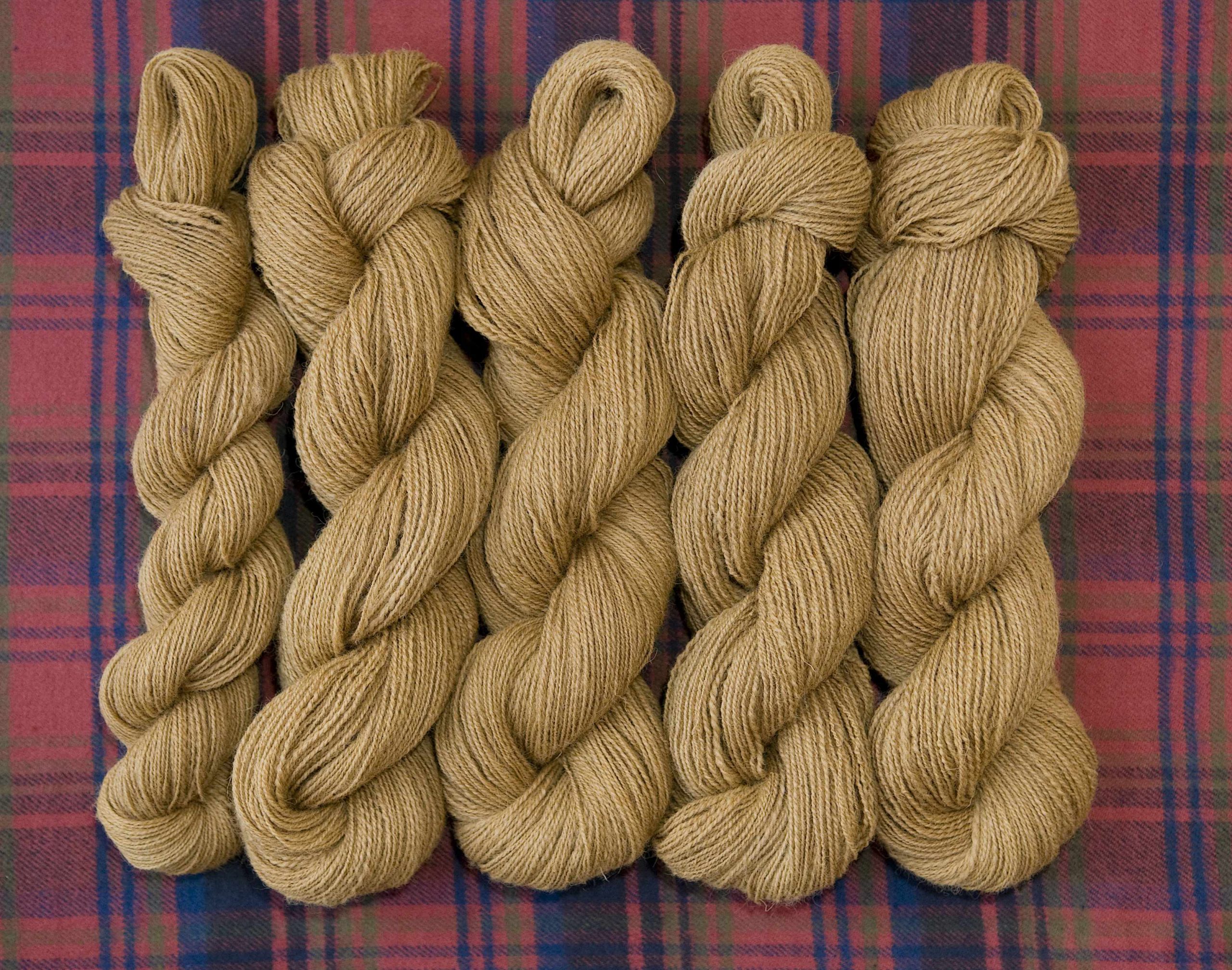 Skeins of handspun yarn for Hickory Gossamer Tunic.
