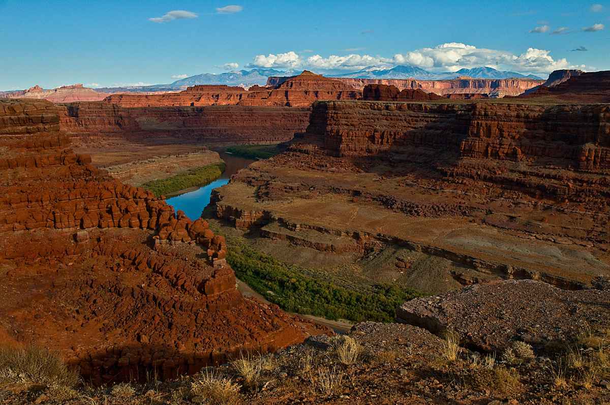 Image: Overlooking Dead Horse Canyon with Mount Peale in the background.