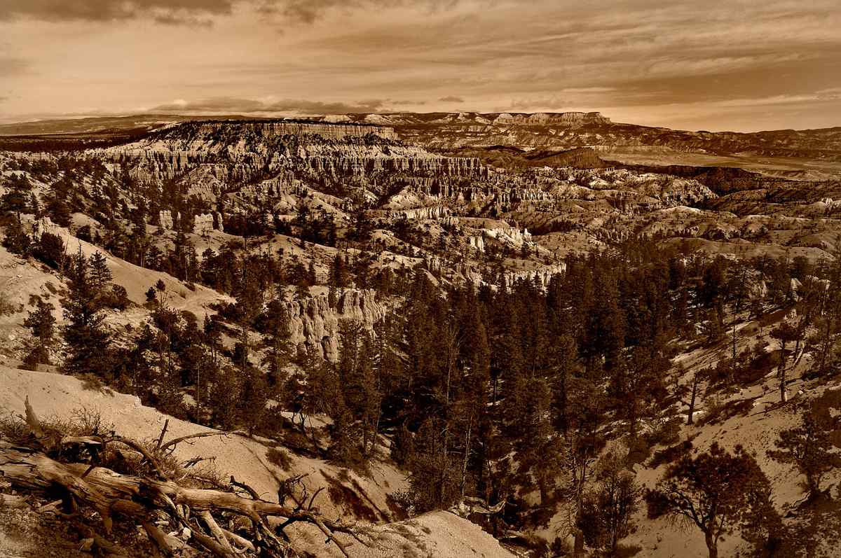 Image: Bryce Canyon, long view