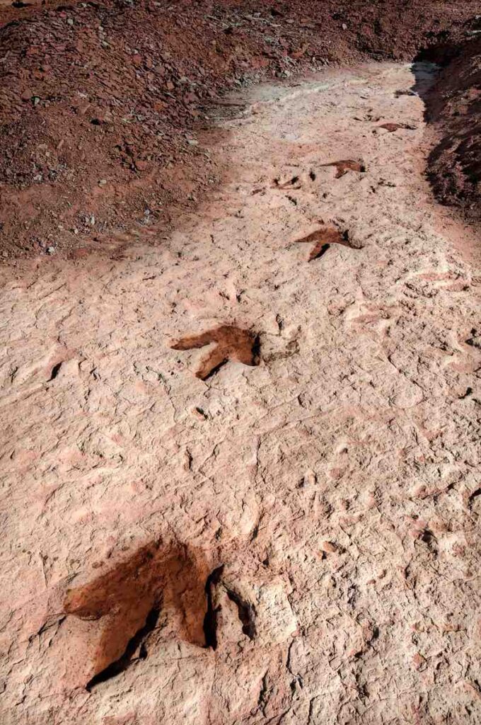 Image: Dinosaur Tracks