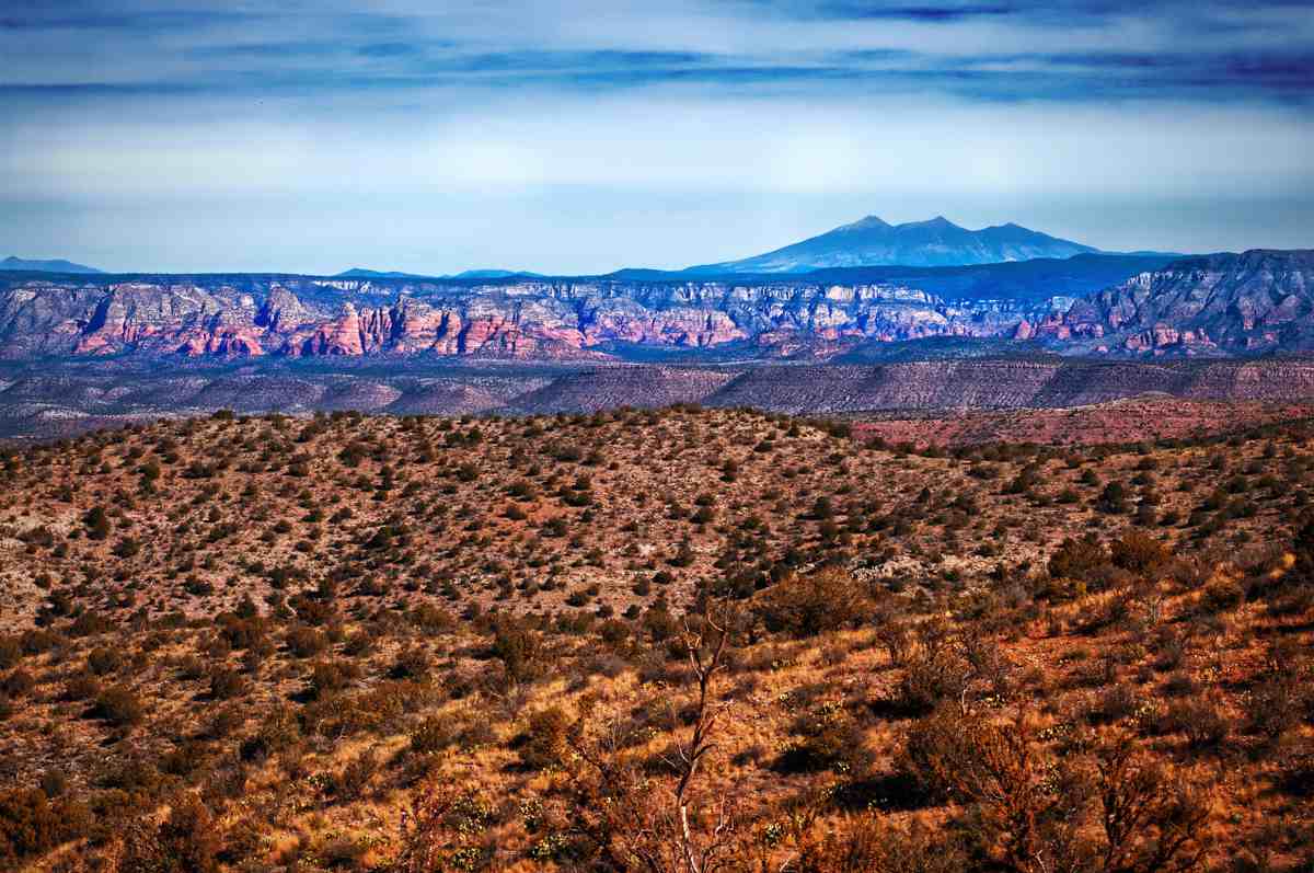 Image: Arizona landscape